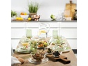 Leonardo Schale Cucina 10 cm 6 Stück, Transparent