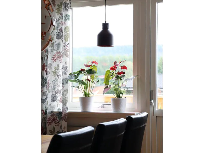 Neogard AG Lampenschirm Saga E27, Kupfer