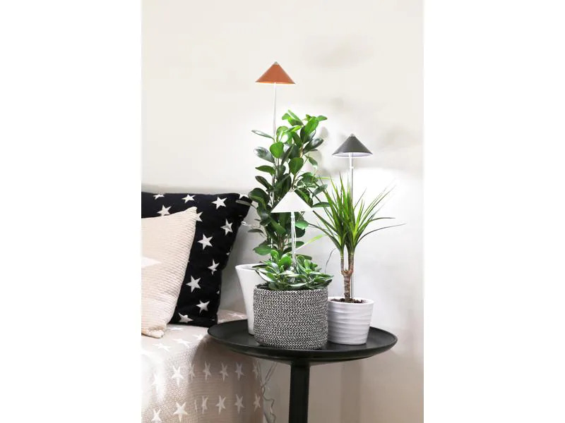 Neogard AG Pflanzenleuchte SunLite 7 W, Grau