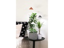 Neogard AG Pflanzenleuchte SunLite 7 W, Grau