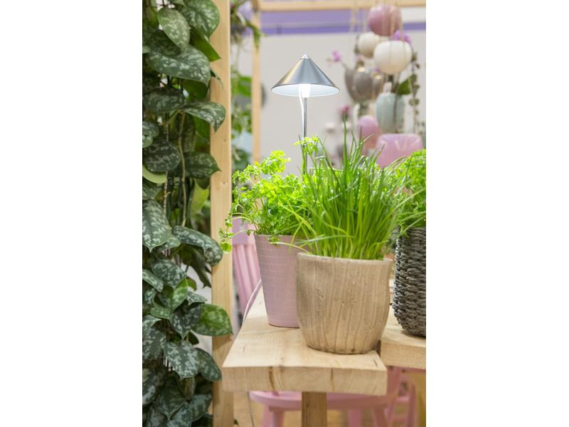 Neogard AG Pflanzenleuchte SunLite 7 W, Grau