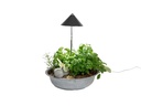 Neogard AG Pflanzenleuchte SunLite 7 W, Grau