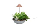 Neogard AG Pflanzenleuchte SunLite 7 W, Kupfer