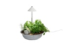Neogard AG Pflanzenleuchte SunLite 7 W, Weiss