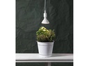 Star Trading Leuchtmittel Plant Light 570cd 16 W E27