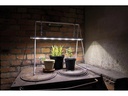 Neogard AG Hängeleuchte Growlight Duo 22W