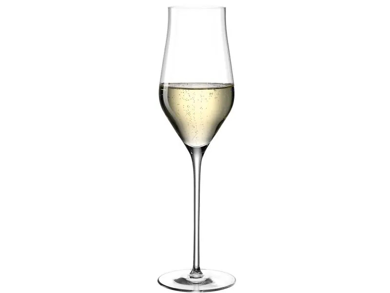 Leonardo Champagnerglas Brunelli 340 ml, 6 Stück, Transparent