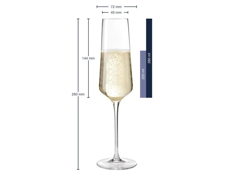 Leonardo Sektglas Puccini 280 ml, 6 Stück, Transparent 