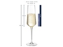 Leonardo Sektglas Puccini 280 ml, 6 Stück, Transparent 