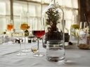 Zone Denmark Champagnerglas Rocks 230 ml, 2 Stück, Transparent