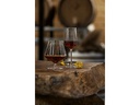 Zone Denmark Champagnerglas Rocks 230 ml, 2 Stück, Transparent