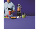 NUTRiBULLET Nährstoffextraktor RX 1700 W