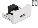 Delock Easy 45 Modul 22.5 x 45 mm RJ45 - USB-A Buchse