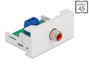 Delock Easy 45 Modul 22.5 x 45 mm Spezial - Cinch