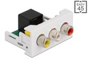 Delock Easy 45 Modul 22.5 x 45 mm Spezial - Cinch