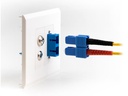 Delock Easy 45 Modulblende Rechteck-Ausschnitt 10 Stück, Weiss