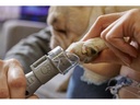 Dremel Krallenschleifer für Hunde &amp; Katzen 7020-5