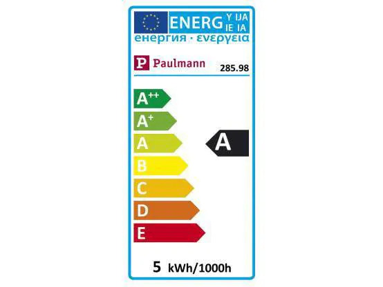 Paulmann Lampe Vintage Kolben 4 W (21 W) E27 Spiralmuster
