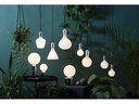 Star Trading Lampe Dou Coating Opaq 5 W (35 W) E27 Warmweiss