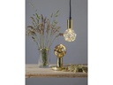 Star Trading Lampe G95 Decoled 1.5 W (10 W) E27 Warmweiss