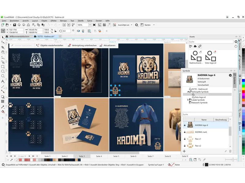 Corel CorelDraw Graphics Suite 365 RNW, 05-50 User, 1yr