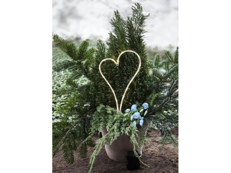 Star Trading Dekoleuchte HEART