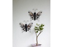 Star Trading Dekoleuchte Solar Butterfly, Schwarz