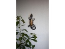 Star Trading Dekoleuchte Solar Gecko, Schwarz