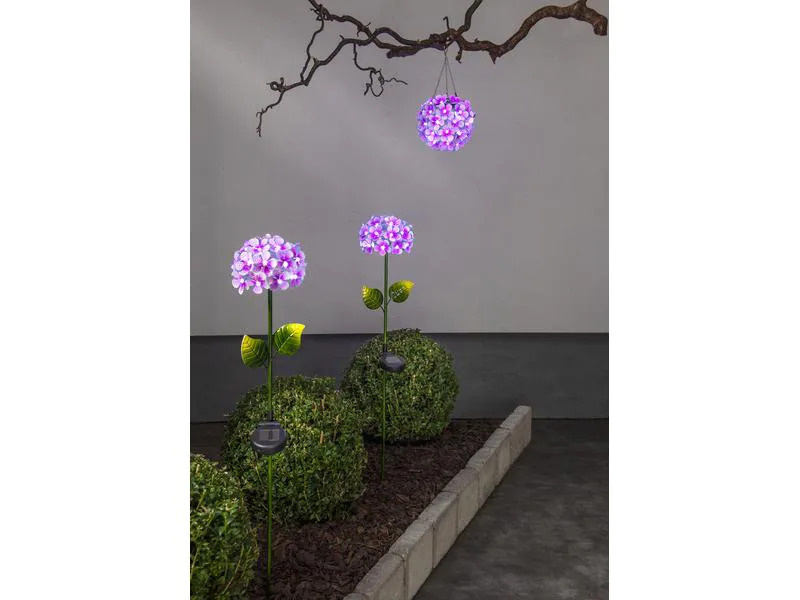 Star Trading Dekoleuchte Solar Hortensia, Pink