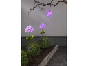 Star Trading Dekoleuchte Solar Hortensia, Pink