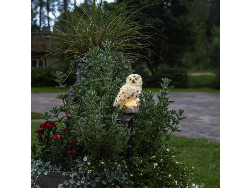 Star Trading Gartenlicht Solardekoration Owl, Beige