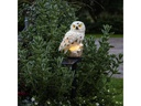 Star Trading Gartenlicht Solardekoration Owl, Beige