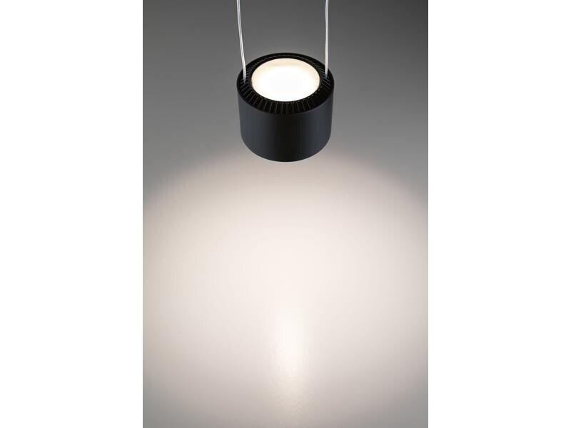 Paulmann Pendelleuchte Aldan, 13W, 2700 K, Schwarz