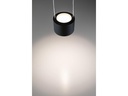 Paulmann Pendelleuchte Aldan, 13W, 2700 K, Schwarz