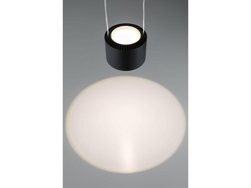 Paulmann Pendelleuchte Aldan, 13W, 2700 K, Schwarz