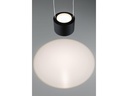 Paulmann Pendelleuchte Aldan, 13W, 2700 K, Schwarz