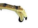 Amewi RC Dinosaurier Velociraptor, Braun RTR