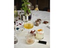 Zone Denmark Whiskyglas Rocks 220 ml, 2 Stück, Transparent