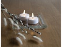 Star Trading LED-Teelichter Flamme, 2 Stk. 5.5 cm x 5.5 cm, Weiss