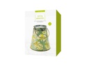 STT Laterne Solar Antic Lantern Bamboo, Grün