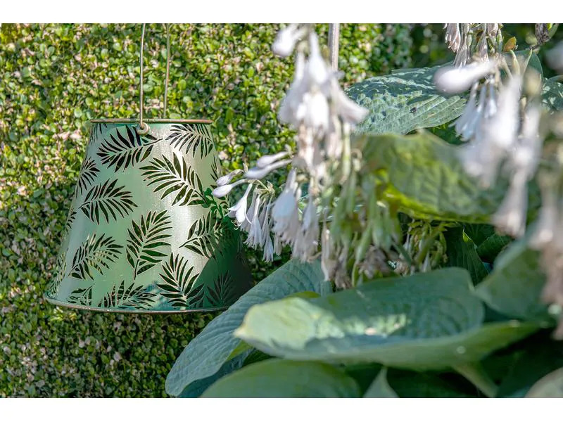 STT Laterne Solar Antic Lantern Bamboo, Grün