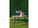 STT Laterne Solar Antic Lantern Feather, Beige