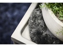 Electrolux Staubwedel ZE146 zu Well Q6, Q7, Q8, Electrolux 800