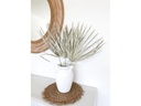 Soli Collection Trockenblumen Frosted White 3er Set, 65 cm