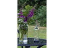 Star Trading Laterne SOLAR BOTTLE Transparent