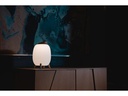 ezilight Laterne Ambiant M,