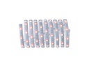 Paulmann LED-Stripe MaxLED 250 Basisset RGBW, 3 m