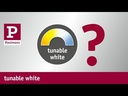 Paulmann LED-Stripe MaxLED Tunable White, 1.5 m