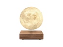 Gingko LED Stimmungslicht Smart Moon Braun/Weiss