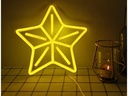 Vegas Lights LED Dekolicht Neon Sign Weihnachtsstern 23 x 22 cm